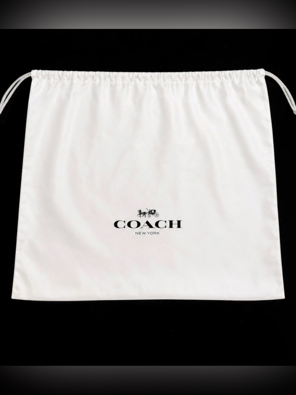 Coach New York Large White Satin Drawstring Handbag Dust Bag 23x19 Storage Cover